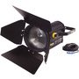 Fluotec VegaLux 300 Tunable Studio LED Fresnel (25cm)