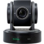 BirdDog Eyes P100 1080p Full NDI PTZ Camera (Black)