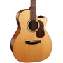 Cort Gold-A6 Acoustic Guitar With Case (Natural)