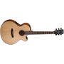 Cort SFX-E Acoustic Guitar (Natural Satin)