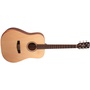 Cort Earth Bevel Cut Acoustic Guitar (Open Pore)