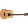 Cort Earth50 Acoustic Guitar (Open Pore)