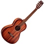Cort AP550M Acoustic Guitar (Open Pore)