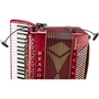 DPA d:vote Stereo Gooseneck Microphone Kit for Accordion