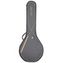 Ritter RGS3-BJ/MGB Banjo Bag (Misty Grey/Brown)