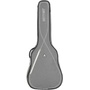 Ritter RGS3-D/SGL Acoustic Guitar Bag (Steel Grey/Moon)