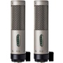 Royer Labs R-10-MP Large-Element Ribbon Microphone (Matched Pair)