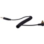 Rotolight 3.5mm to Male Flash PC Coiled Sync Cable