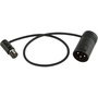 Cable Techniques CT-LPS-3TMX Low-Profile TA3F to LXPXLR-3M Cable (30.4cm, Black)