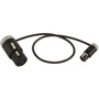 Cable Techniques CT-LPS-FX3T-12A Low-Profile LPXLR-3F to TA3F Cable (30.4cm, Gray)