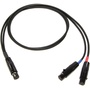 Cable Techniques CT-PSR5PT-224 TA5F to Dual TA3F Lectrosonics SR Receiver Output Cable (60.9cm)