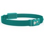 Klarus HR1 Plus Rechargeable Headlamp (Teal)