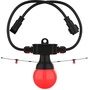 CHAUVET DJ Festoon 2 RGB EXT Bulb String Light Extender (15m)