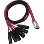 Avid DB25-XLRM DigiSnake - Analog or Digital Output Snake (1.2m)