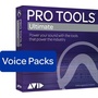 Avid Pro Tools Ultimate - 128 Voice Pack Perpetual License (Annual Subscription Paid Up Front)
