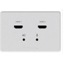 BirdDog Wallplate Dual Input