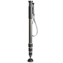 Gitzo GM2542 Series 2 Carbon Fibre Monopod