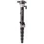 Benro MSDPL46C SupaDupa Carbon Fibre Monopod with Levelling Pan Head (158cm)