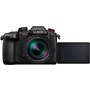 Panasonic Lumix GH5 II Mirrorless Camera with 12-60mm f/2.8-4 Lens