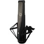 sE Electronics RNR1 Rupert Neve Signature Series High-Frequency Active Ribbon Microphone