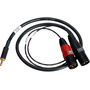 Sescom SES-IPOD-XLRM03 3.5mm Stereo to Dual XLR Male Mono Audio Cable - 3'