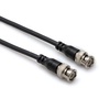 Hosa BNC-59110 RG59 BNC Cable 10ft
