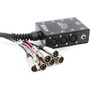 Hosa SH-6X2-30 Stage Box Snake 30'