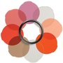 Manfrotto MLFILTERPRT Portrait Filter Set for Lumie Series LED Lights