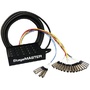 Pro Co Sound StageMASTER Multipair Audio Snake (150')
