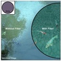 Canon 67mm Circular Polarizing Filter