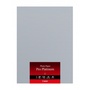 Canon PT-101 A2 Pro Platinum Photo Paper (20 Sheets)