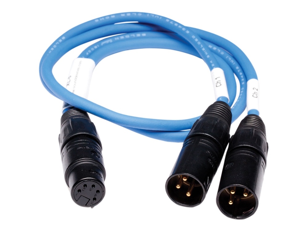 Video Devices XL-5 5-Pin XLR Female to Dual 3-Pin XLR Male Output Cable for PIX 220/240 (24")