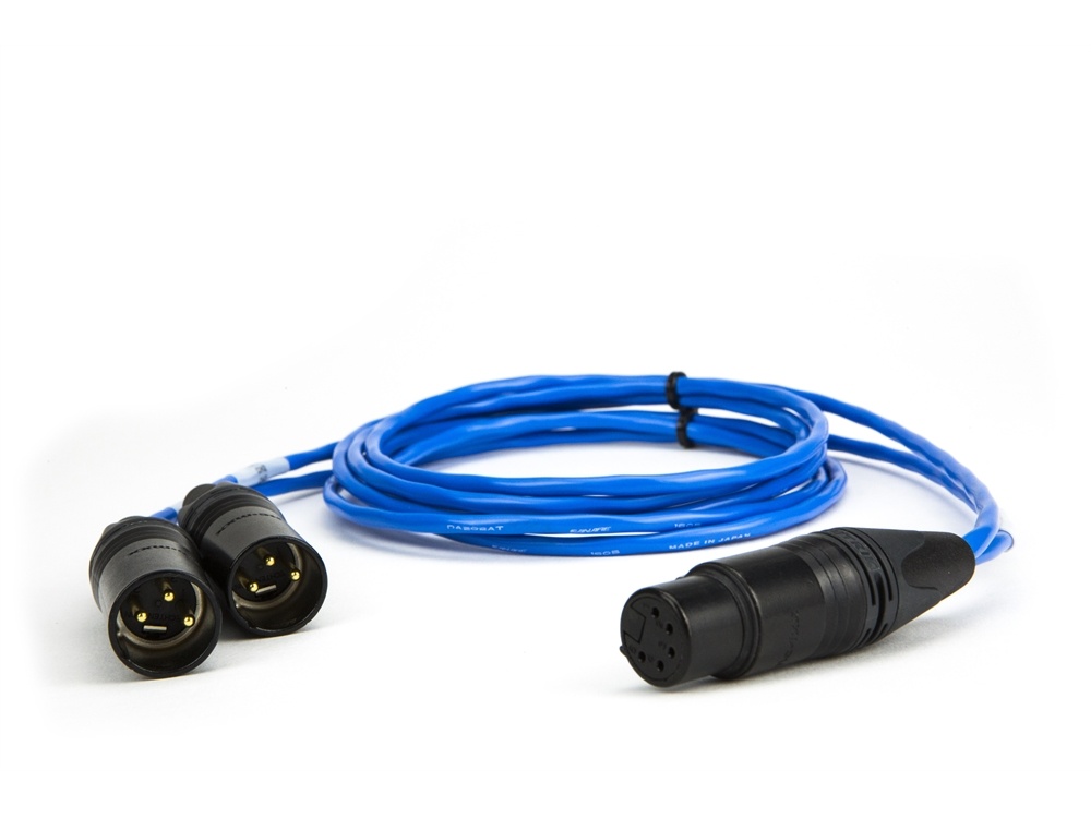 Laird Digital Cinema 5-Pin Female XLR to Dual 3-Pin XLR Male Balanced Line Breakout Cable (Blue)