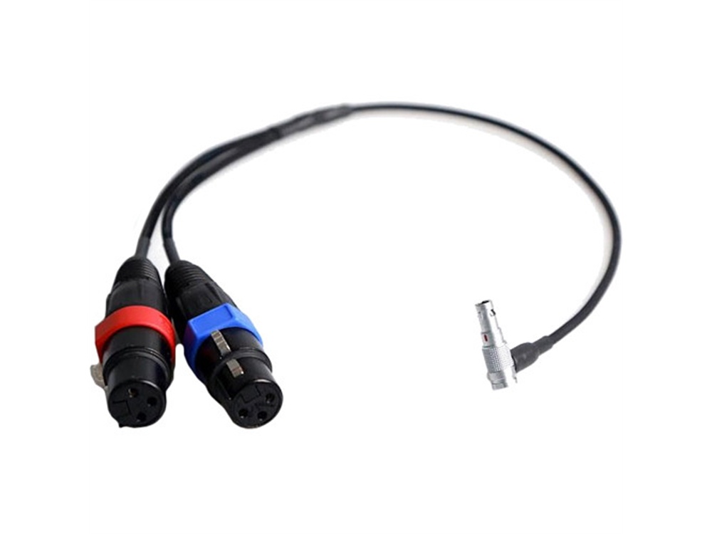 Atomos XLR Breakout Cable for Shogun (Input Only)