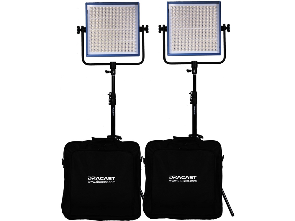 Dracast LED1000 Pro Daylight 2-Light Kit with V-Mount Battery Plates and Stands