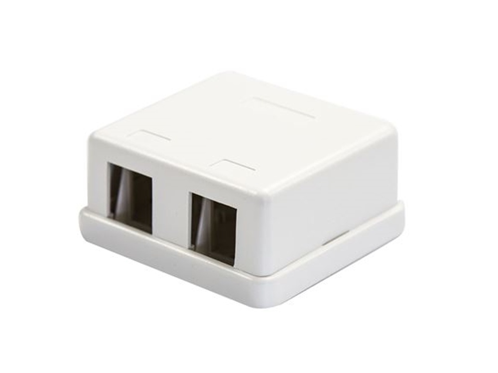 DYNAMIX 2 Port Unloaded Keystone Wall Mount Enclosure