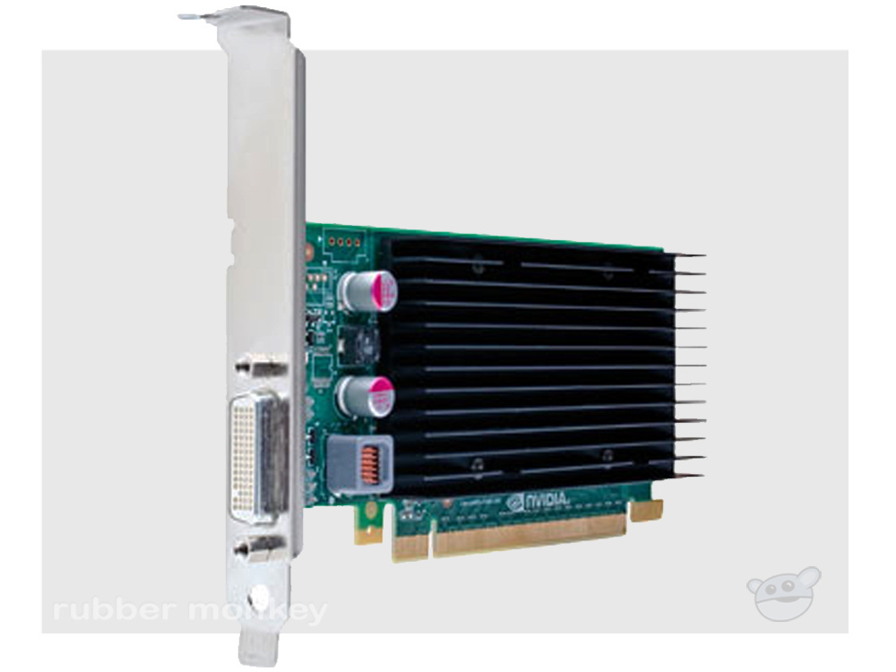 Lenovo NVIDIA Quadro NVS 300 Graphic Card