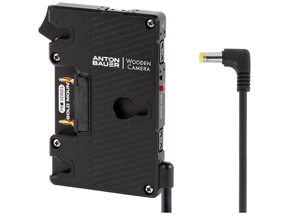 Wooden Camera Pro Gold Mount for Canon C100, C100mkII, C300, C500