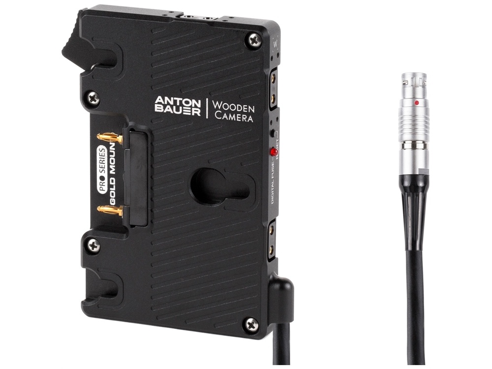 Wooden Camera Pro Gold Mount for Alexa Mini