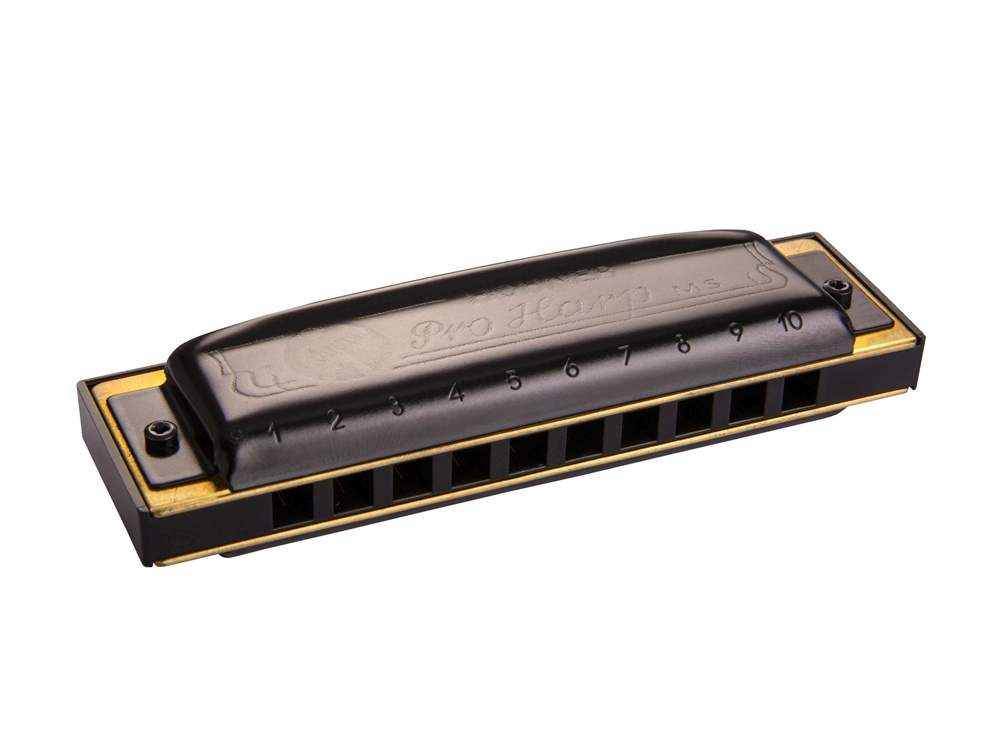 Hohner MS Series Pro Harmonica in Ab