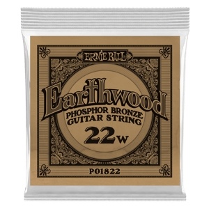 Ernie Ball .022 Earthwood Phosphor Bronze Acoustic Guitar String