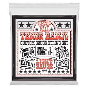Ernie Ball Light Loop End Stainless Steel Tenor Banjo Guitar Strings - 9-28 Gauge