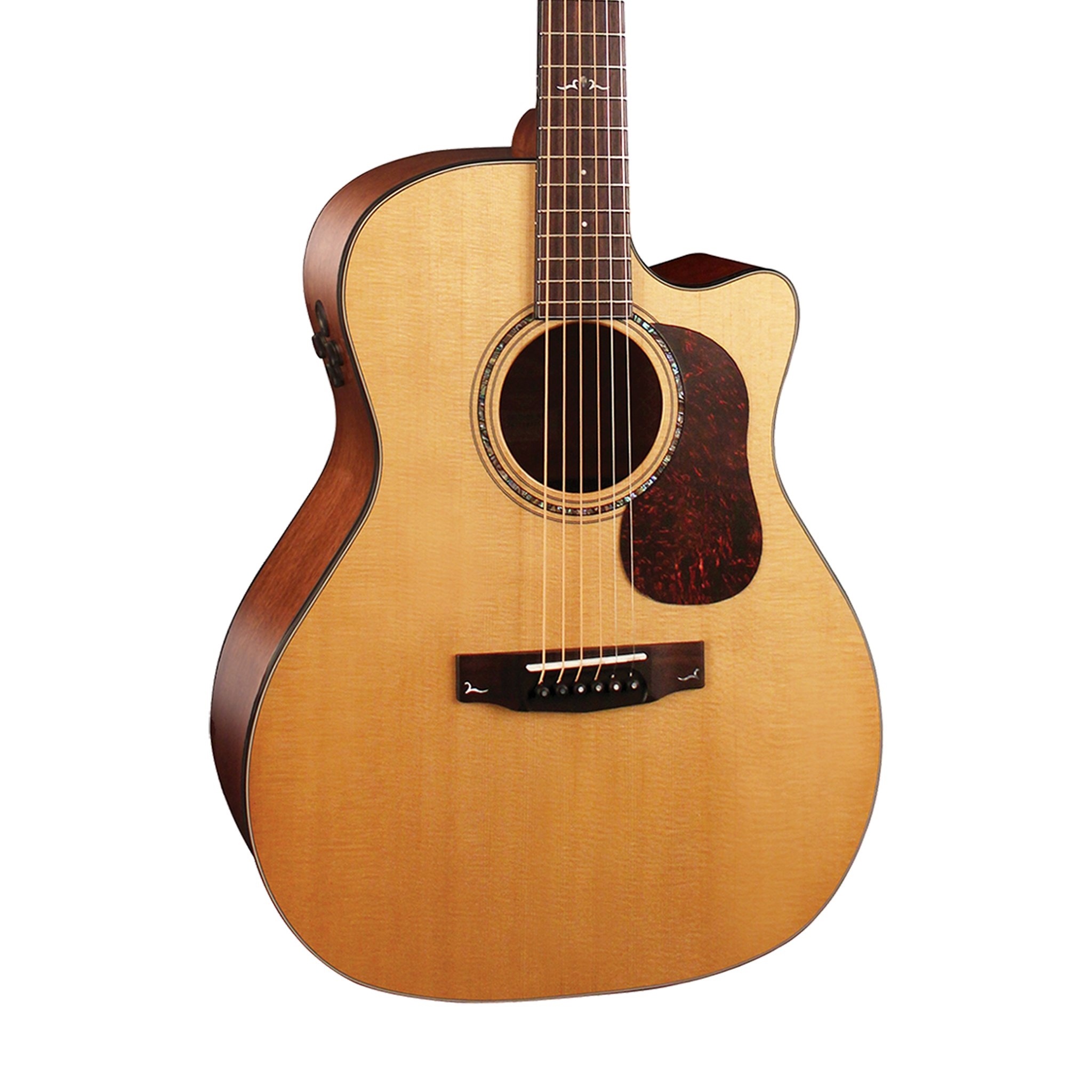 Cort Gold-A6 Acoustic Guitar with Soft-Side Bag (Natural)