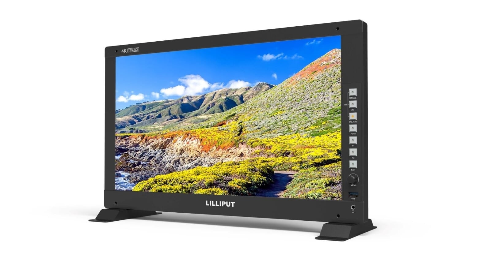 Lilliput Q17 - 17.3" 12G-SDI Broadcast/Production Monitor (V-Mount)