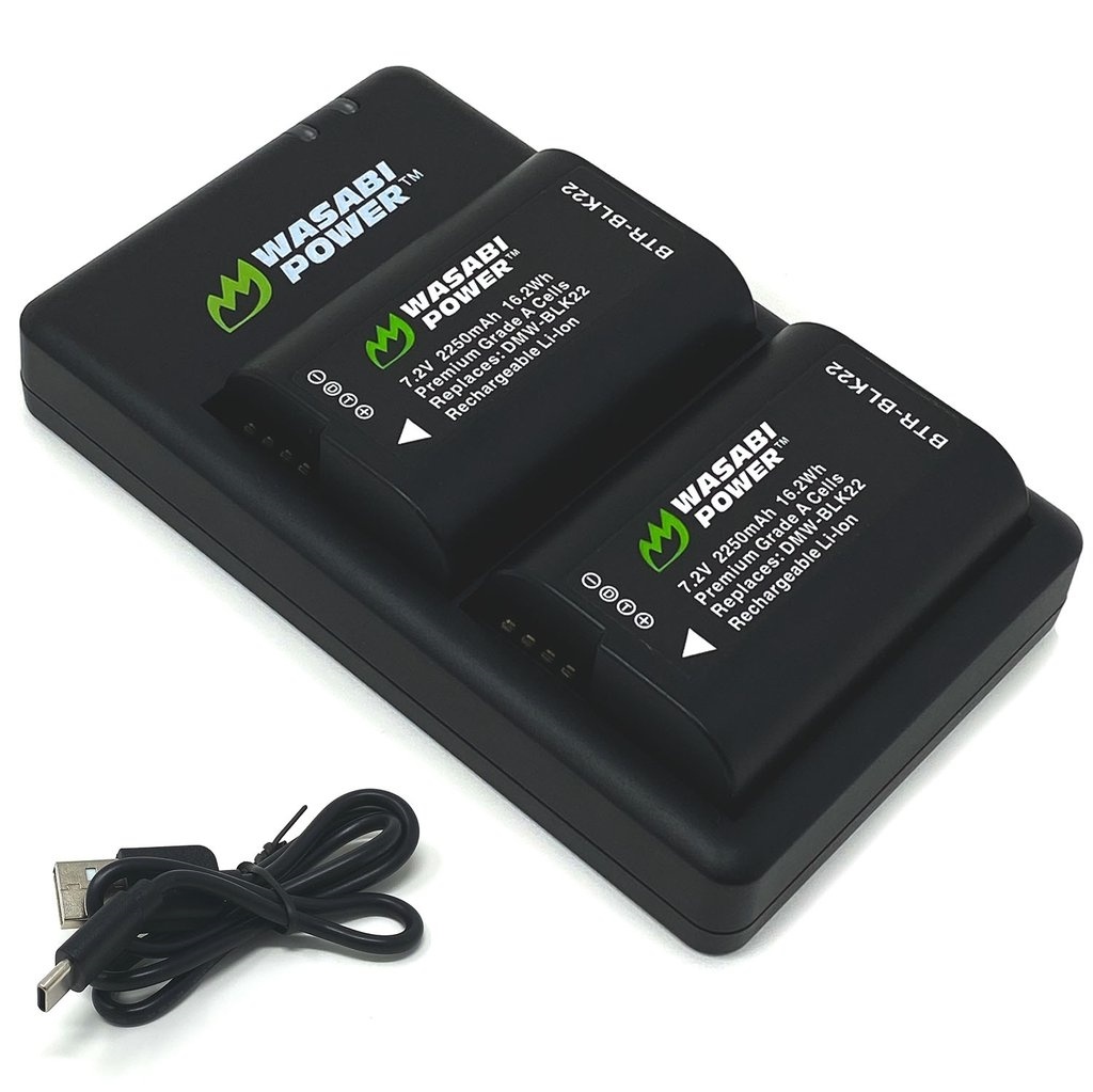 Wasabi Power BLK22 Battery and Dual Charger for Panasonic