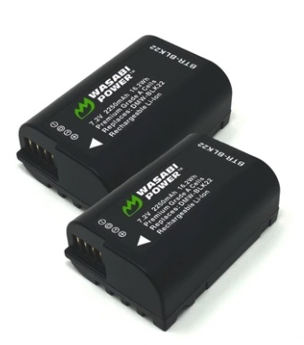 Wasabi Power BLK22 Battery for Panasonic (2 Pack)