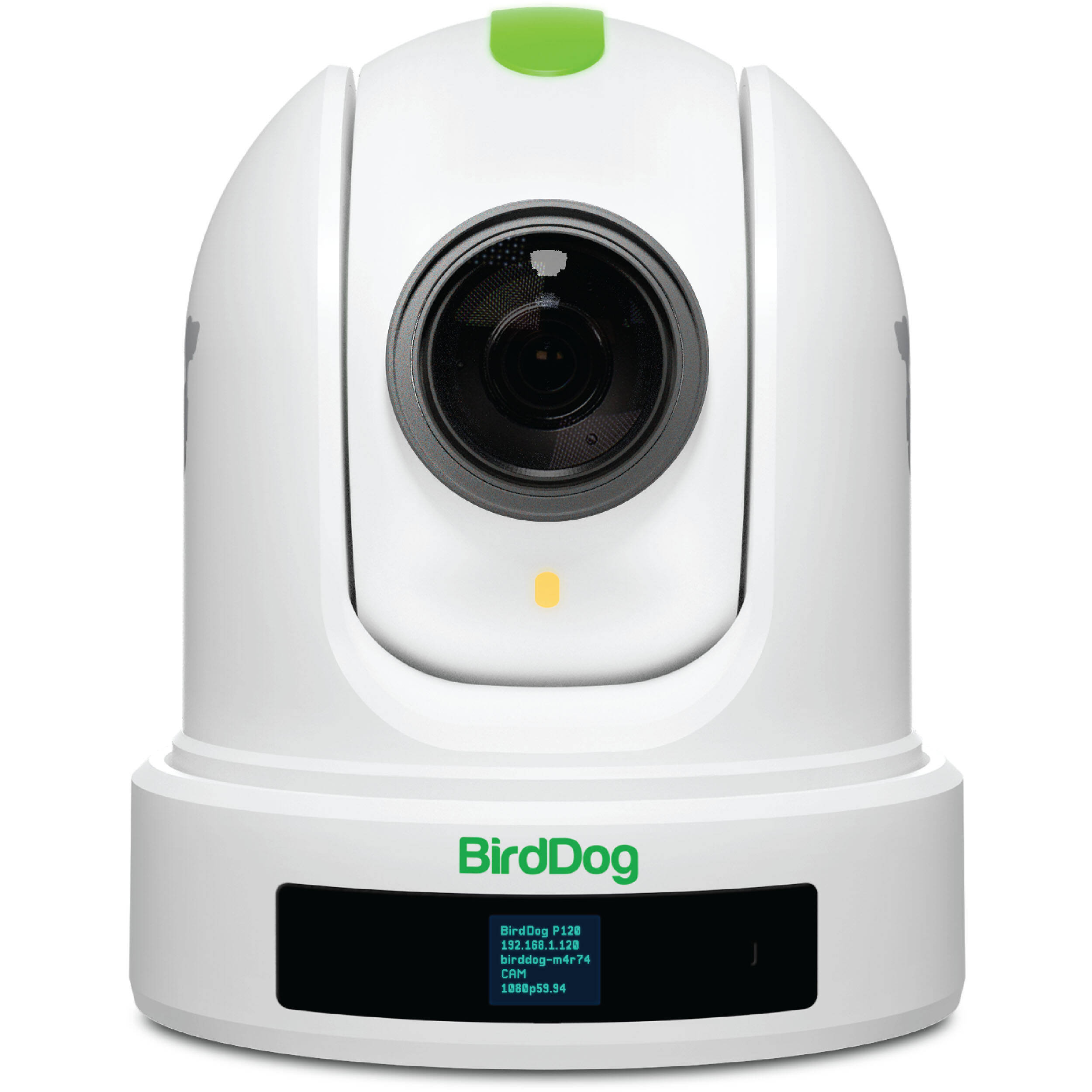 BirdDog Eyes P110 1080p Full NDI PTZ Camera (White)