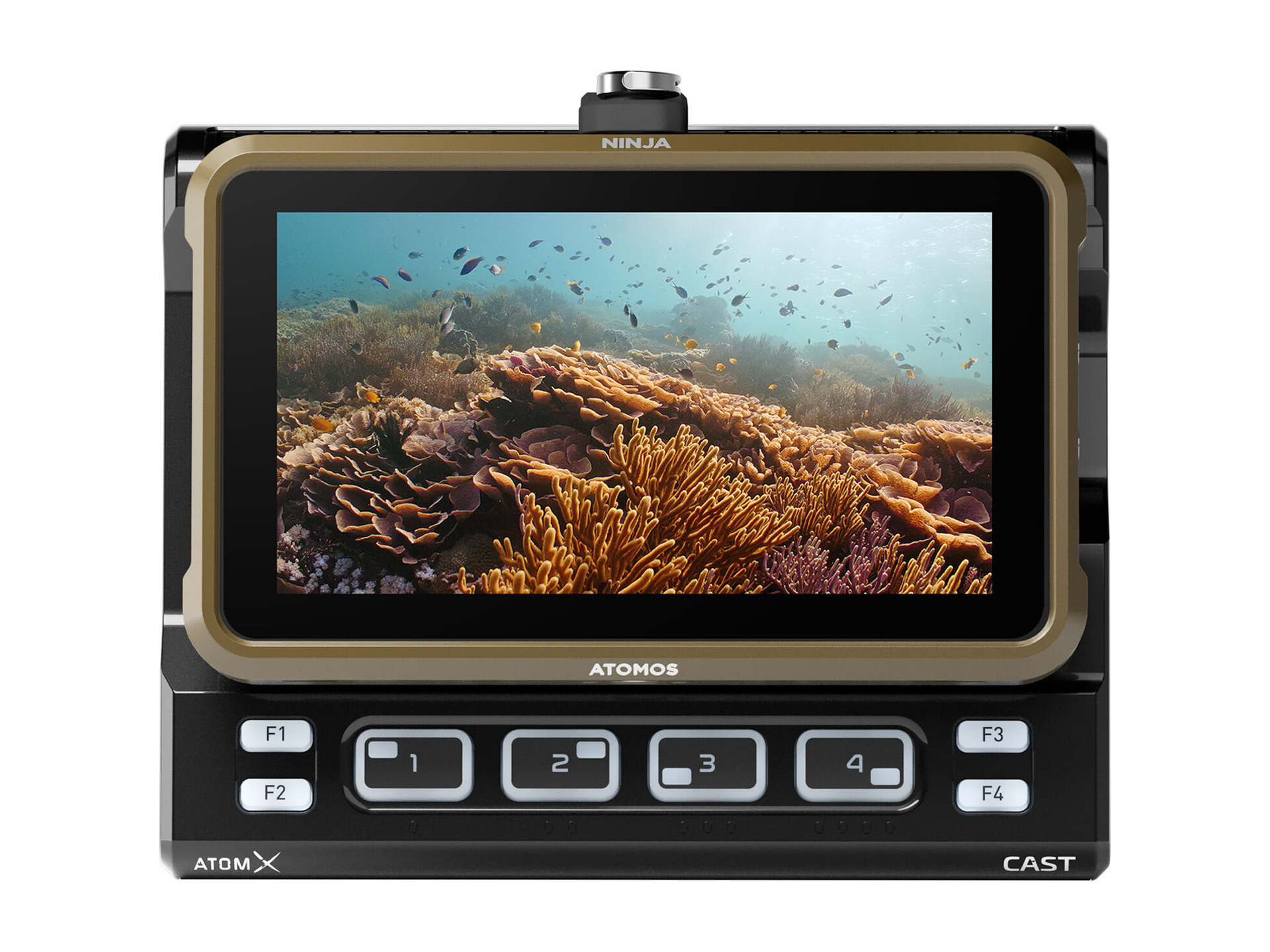 Atomos Ninja 4K HDMI Recording Monitor Rubber Monkey NZ