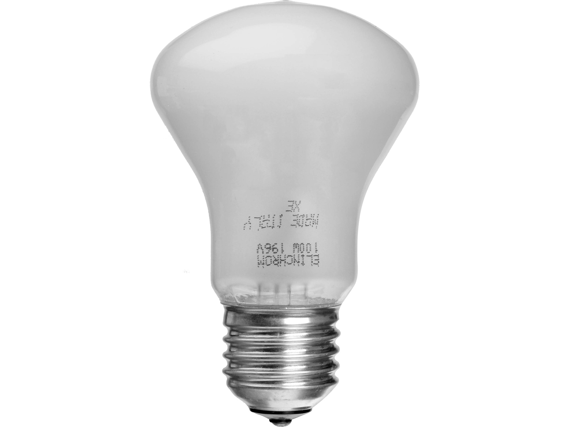 Elinchrom Modeling Lamp 100W (230V)