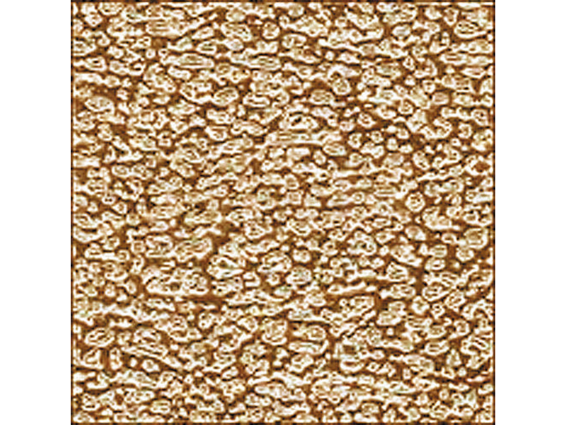 Rosco E-Colour 272 Soft Gold Reflector (48" x 25' Roll)